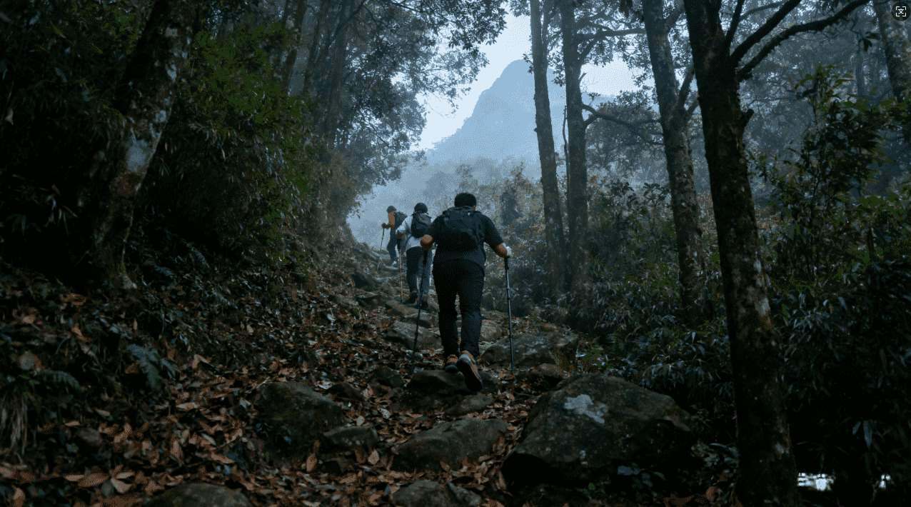 原子加速器谷歌版软件下载指南